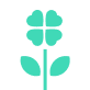 Flower 3