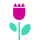 Flower 5